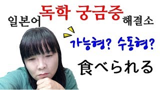 [일본어독학 궁금증 해결소]８. 食べられる(가능형 vs 수동형) | 일본어독학 | 일본어질문 | 일본어공부 screenshot 4