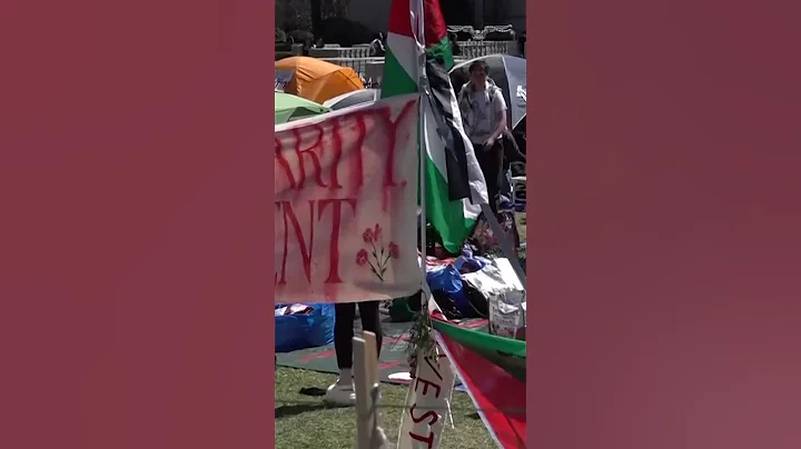 Three university presidents descend on Capitol Hill to testify about campus antisemitism