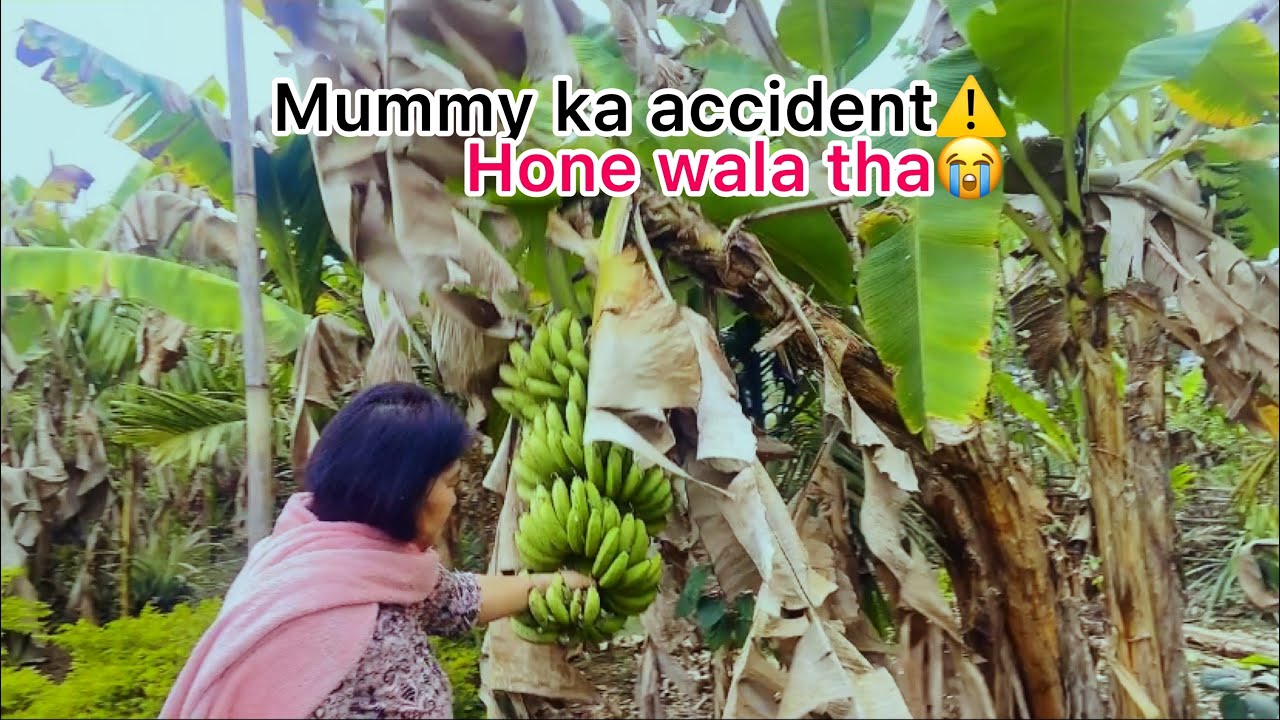 MUMMY WAS GOING TO HURT|SIMPLE LIVING|ARUNACHAL|