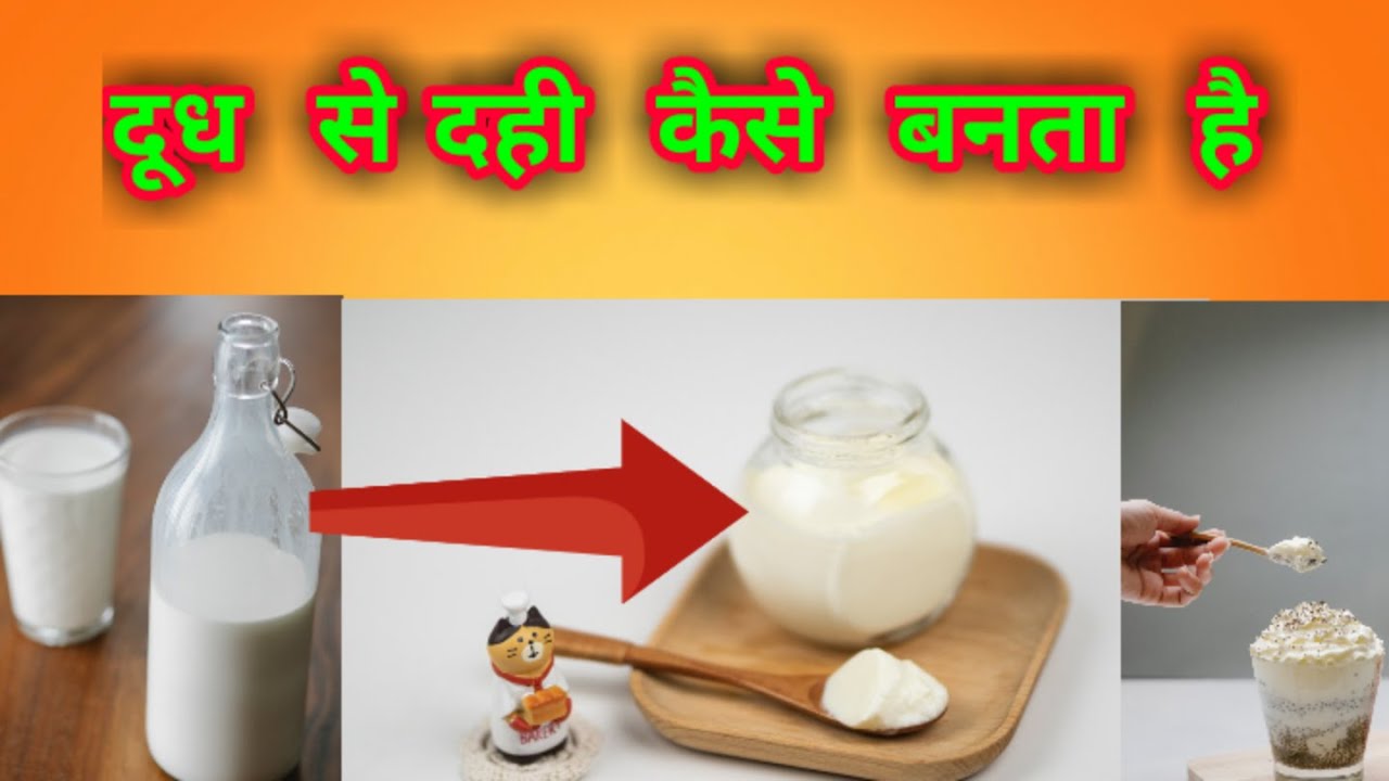 doodh-se-dahi-kaise-banta-hai-youtube