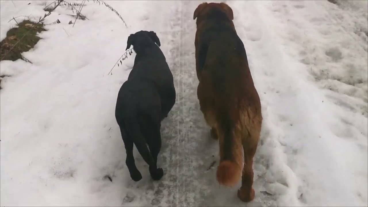 6. März 2026 Zuschauerfrqge von Britta @jahreszeitenflavour5605 