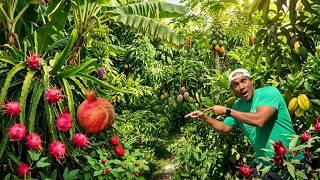 I Don't Garden Like Most People… Here's Why