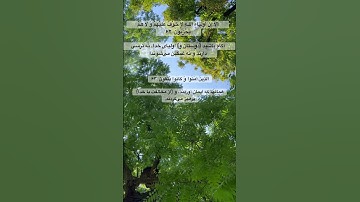 تلاوت ایات زیبای سوره #یونس. #سورة_یونس.#ترجمه_فارسی_قرآن  #الله #شیخ سدیس #quran #قرآن #تلاوت #اذان