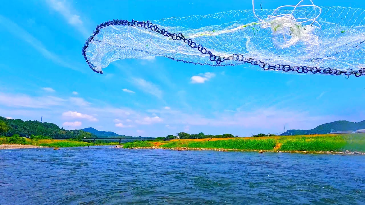 大物鮎と投網の攻防
