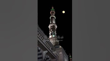 سورة هود {الآية 88} بصوت الشيخ مشاري العفاسي بن راشد ❤️💖
