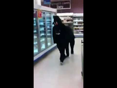 Un caballo británico va en busca de su madre al supermercado