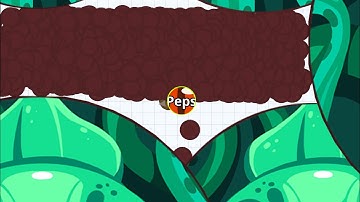 THE REVENGE STORY (Agar.io)