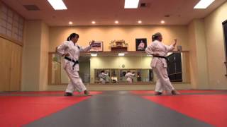 Sean Stuebe Karate Documentary screenshot 3