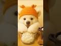 Want to eat a rice ball made by a polar bear?🍙 #asmr #polarbear
