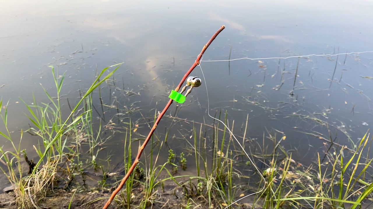 ПОПАЛ НА ЖОР САЗАНА ПОСЛЕ НЕРЕСТА. РЫБАЛКА НА ДЕДОВСКИЕ ЗАКИДУШКИ СО ЖМЫХОМ. Ловля на макуху.