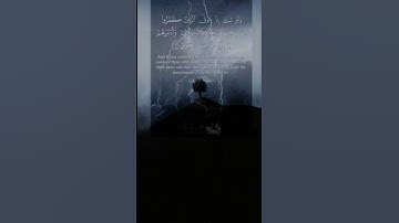 ولَوْ تَرى إذْ يَتَوَفّى الَّذِينَ كَفَرُوا | سورة الأنفال | ابو بكر الشاطري | تلاوة جميلة وهادئ