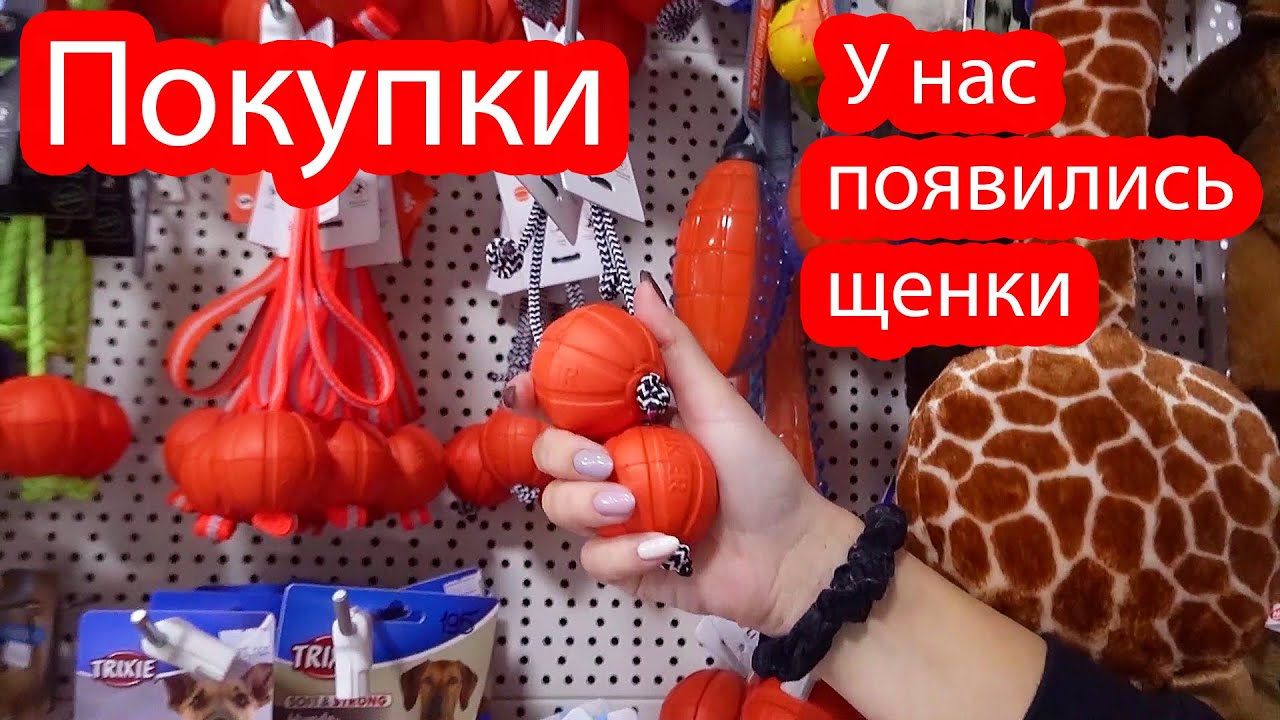 hq720.jpg