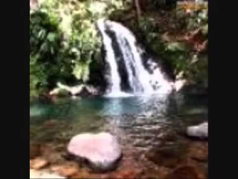 Fiqiri Sula Florini I Vogel Official Video