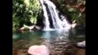 Fiqiri Sula - Florini i vogel (Official Video)