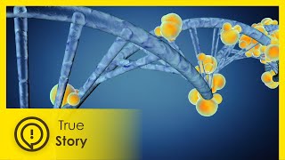 Human Immortality - Forging the Future 3/6 - True Story Documentary Channel