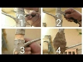 How to do air layering on ficus bonsai pakistan bonsai society