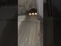 Rcc cutting core cutting