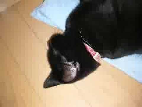 音信不通スライドショー