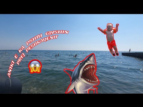 Video: A Ka Peshkaqenë Në Mesdhe?