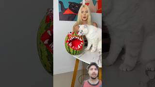 Billi ke gajab karname #cat #video #funny #cartoon #co #cartoon #funniestvideo #randoms #eyecatchy