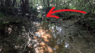 Exploring The Creek On 140 Year Old Farm! Creek Walk Leads To Broken Dam | Hisea Boots