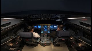 Airbus A320 Training Normal and Abnormal Procedures (Level D Sim)