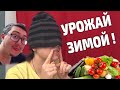 Купили ДОМ В ДЕРЕВНЕ. У всех ЗИМА, а у нас УРОЖАЙ!!! Пробуем микро зелень вслепую.