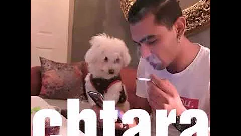 Edward Maya & Vika Jigulina - Stereo Love   9D Audio remix Chtara