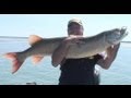 Pêche multi-espèces sur le fleuve Saint-Laurent