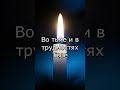 Прочитай это перед сном — Псалом 113 | Минута милосердия