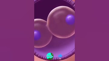 سبحان الخالق: مراحل خلق الجنين في تلاوة رائعة بصوت ماهر المعيقلي سورة المؤمنون ولقد خلقنا الإنسان