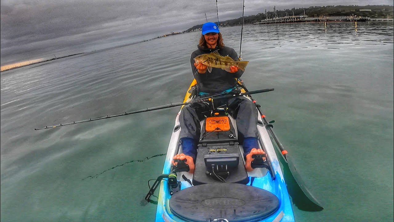 Kayak Fishing San Diego Bait Barge YouTube