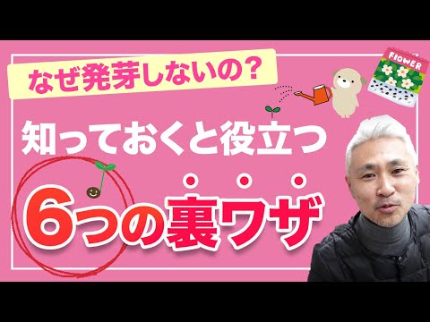 なぜ発芽しないの？知っておくと役立つ6つの裏ワザ