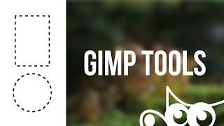 GIMP | The Rectangle and Ellipse Select Tools