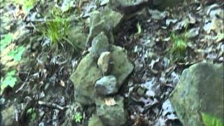 Finding Bigfoot:Shelters and Tracks: http://sasquatchevidence.blogspot.com/