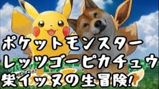 ポケットモンスター let's go ピカチュウ＆柴イッヌのカントー地方生冒険!6日目【ポケモン】