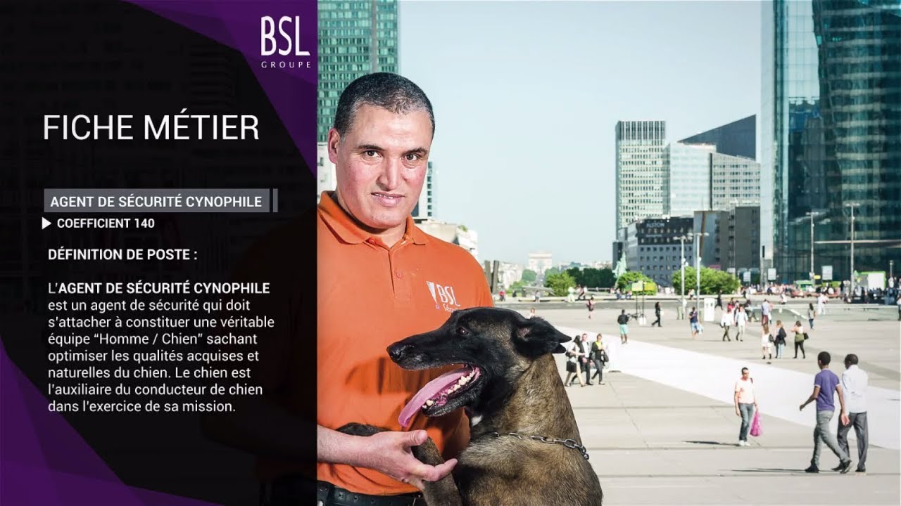 Groupe Bsl Agent Cynophile Maitre Chien Youtube