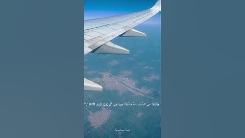 ما تيسر من سورة لقمان 🤎