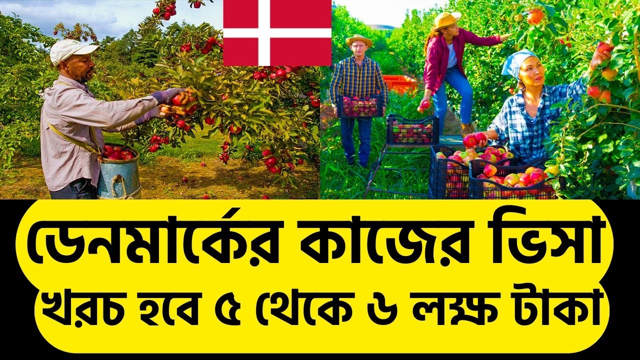সুখবর🔴ডেনমার্কের কাজের ভিসা | খরচ হবে ৫ থেকে ৬ লক্ষ টাকা Denmark work visa 2025