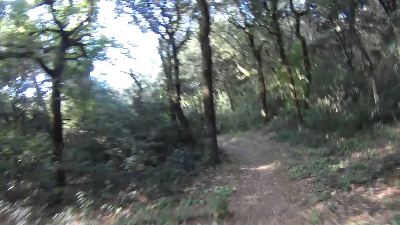 mix sorti vélo à la pointe de grave