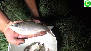 Cách bắt cá mới lạ của anh em Đất Phương Nam l Fishing