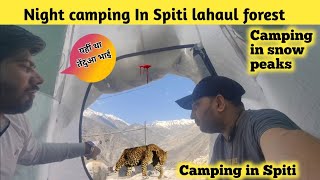 camping in a beautiful place in spiti valley | Camping in deep forest | Camping in india
