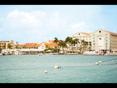 Video: Populiariausia Bonaire aktyvi veikla ir atrakcionai