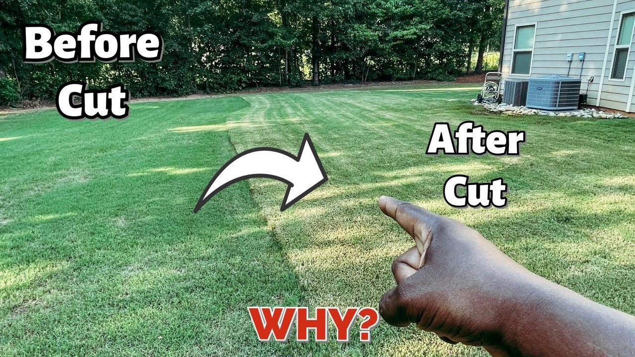 Why Your Bermuda Grass Turns Brown After You Cut It Browning Lawn why-your-bermuda-grass-turns-brown-after-you-cut-it-browning-lawn