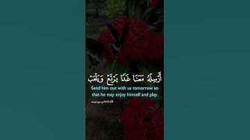 #تلاوة_خاشعة  ايات من كتاب  الله ارح قلبك وسمعك #القرآن_الكريم #راحة_نفسية #لايك #اكسبلور #duet