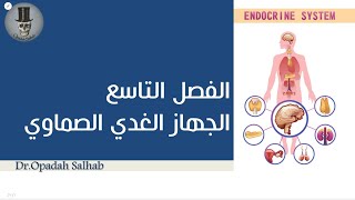 التشريح العام || الفصل التاسع (4) || المعثكلة (البنكرياس) || Dr.Opadah Salhab