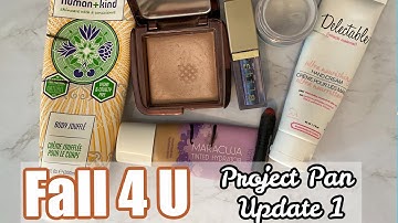 Fall 4 U Project Pan Update 1 || Project Pan Collab