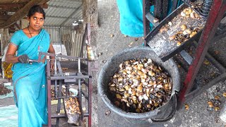 Cashew Cutting Process | Imported Cashew Cutting in Indian Villages | Self Employed Women