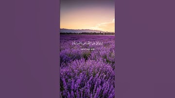 سورة الاحزاب || نورين محمد صديق || وتوكل علي الله و كفى بالله وكيلا #القرآن_الكريم#نورين_محمد_صديق