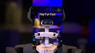 Zelda Fun Fact with R.O.B. The Robot